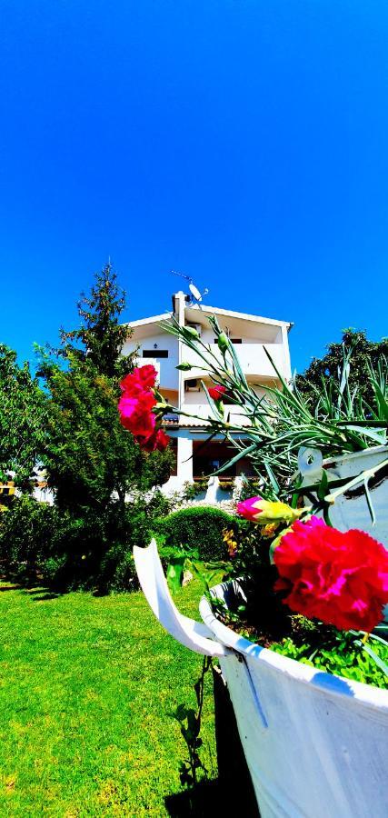 Apartments Sime Сукошан Экстерьер фото
